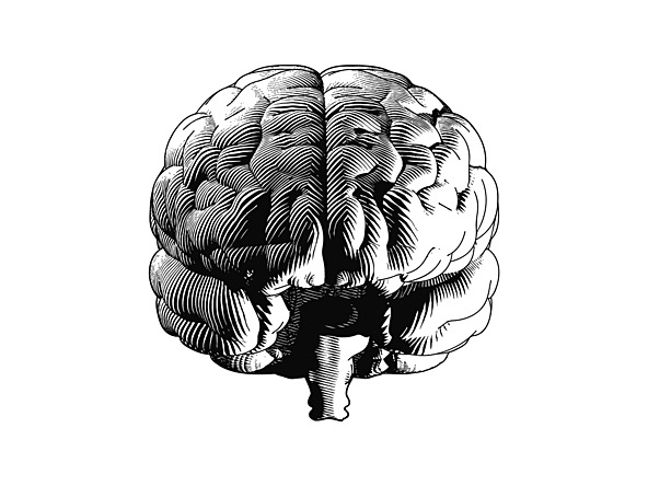 Brain engraving_Crop